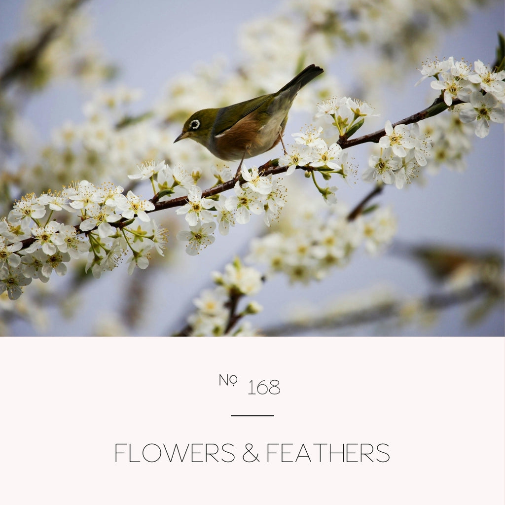 Flowers & Feathers