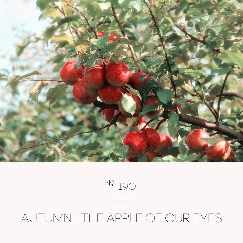 Autumn... the apple of our eyes