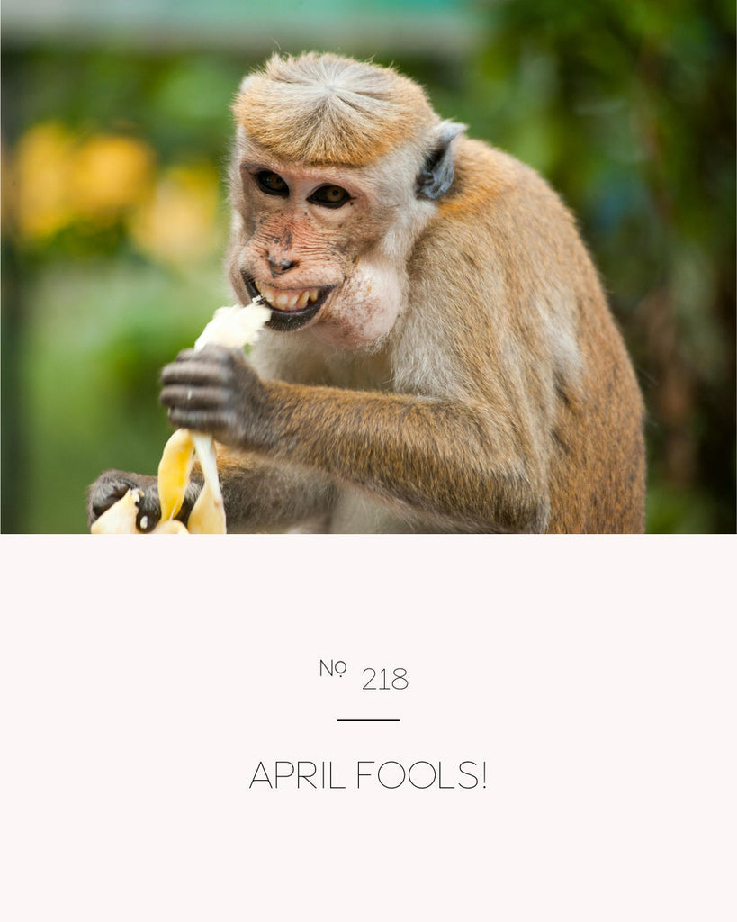 April Fools!