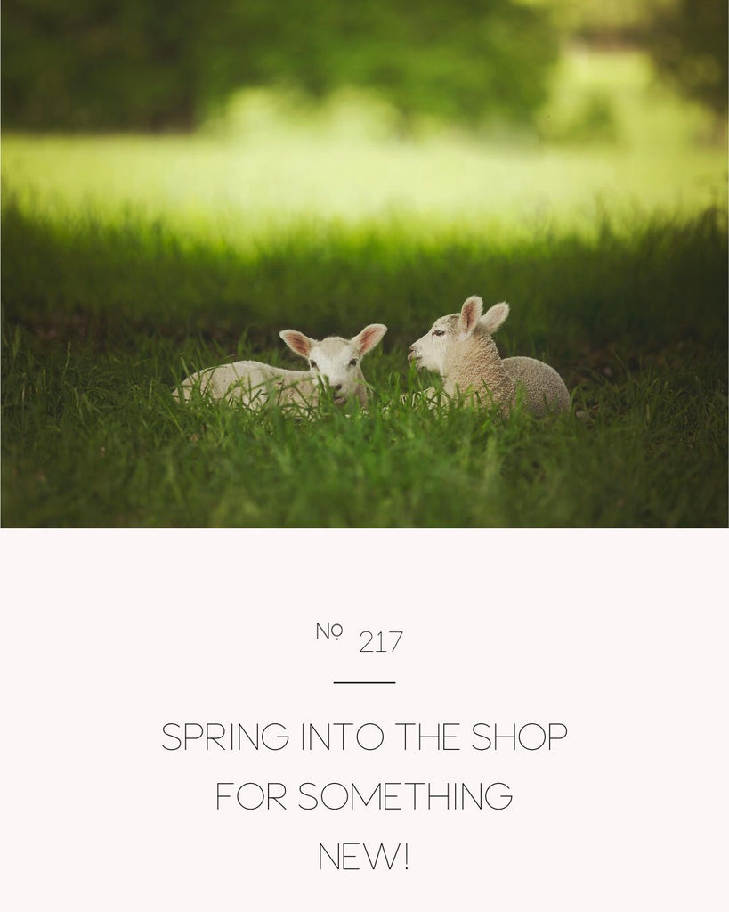 Spring into the shop for something new!