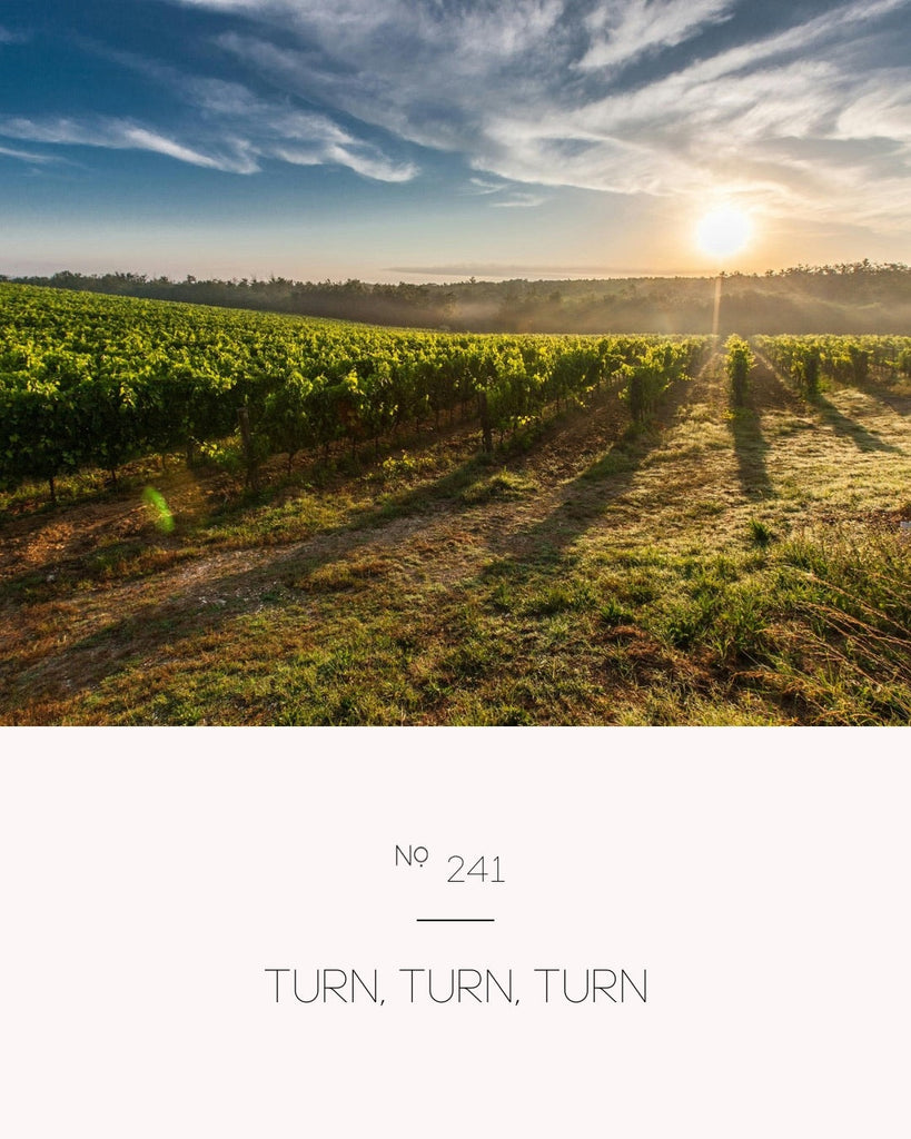 Turn, Turn, Turn