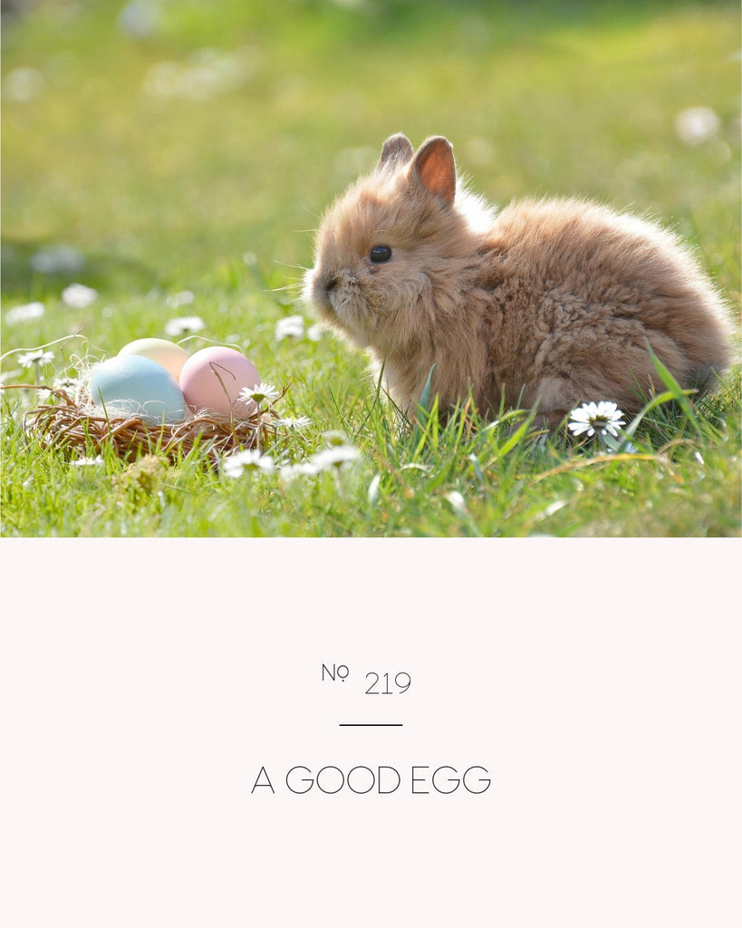 A Good Egg